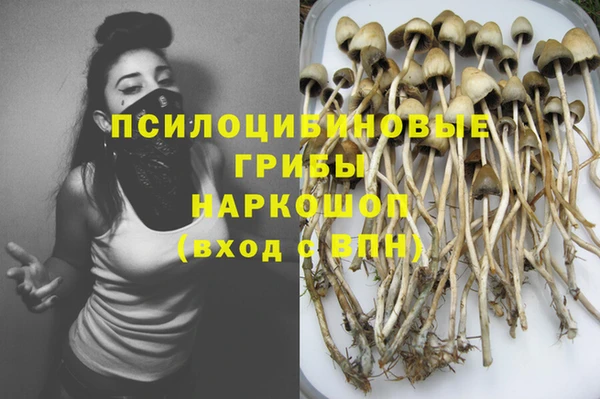 метадон Зеленодольск